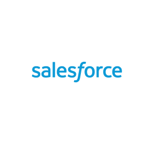 Salesforce Security Assessments 